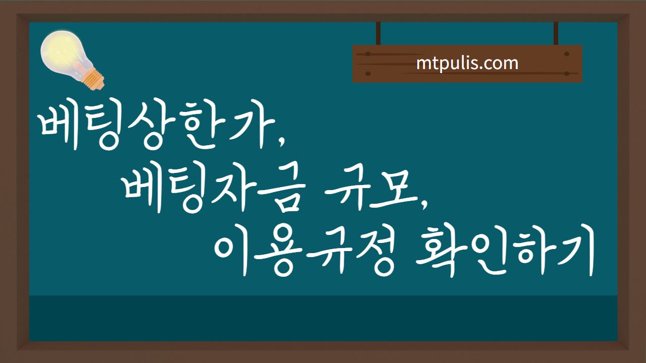 베팅상한가, 베팅자금 규모, 이용규정 확인하기