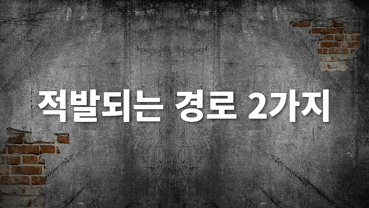 적발되는 경로 2가지