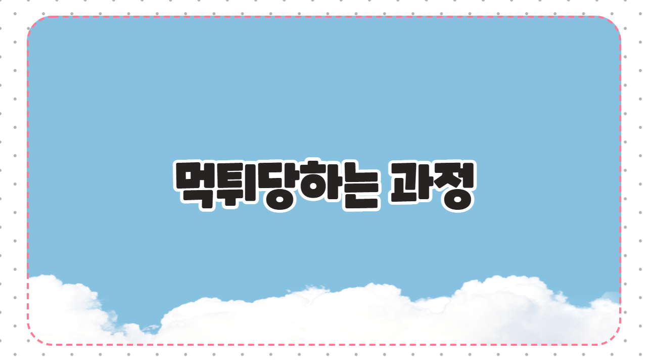 먹튀당하는 과정