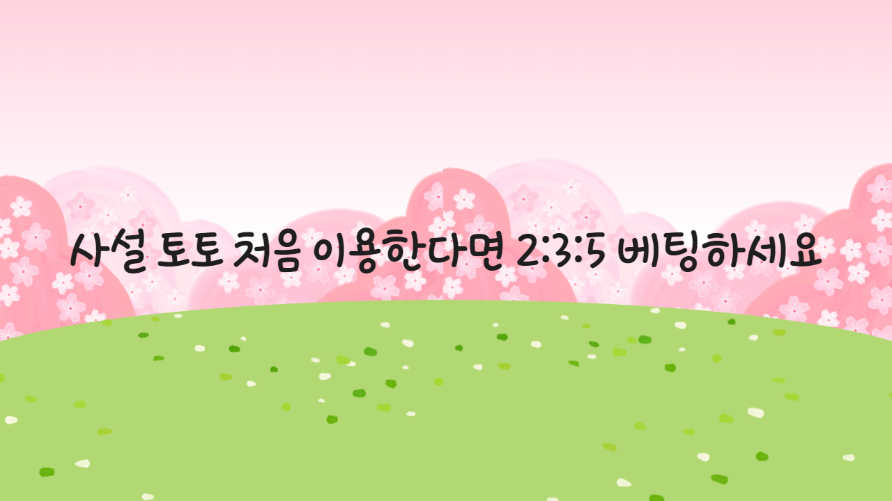 사설 토토 처음 이용한다면 2_3_5 베팅하세요