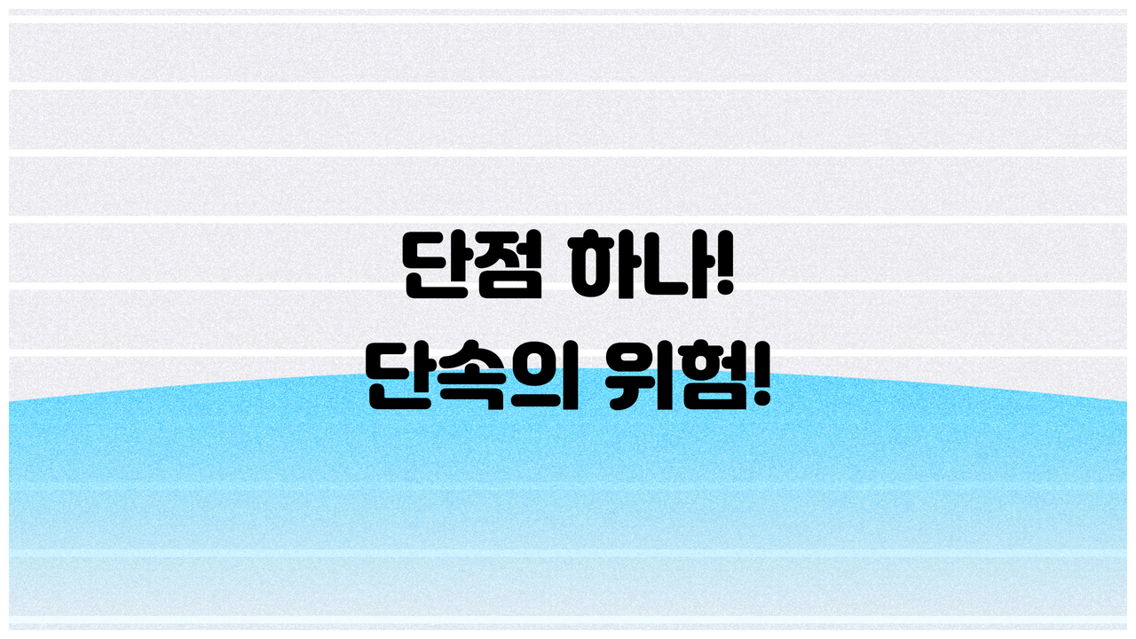 단점 하나! 단속의 위험!