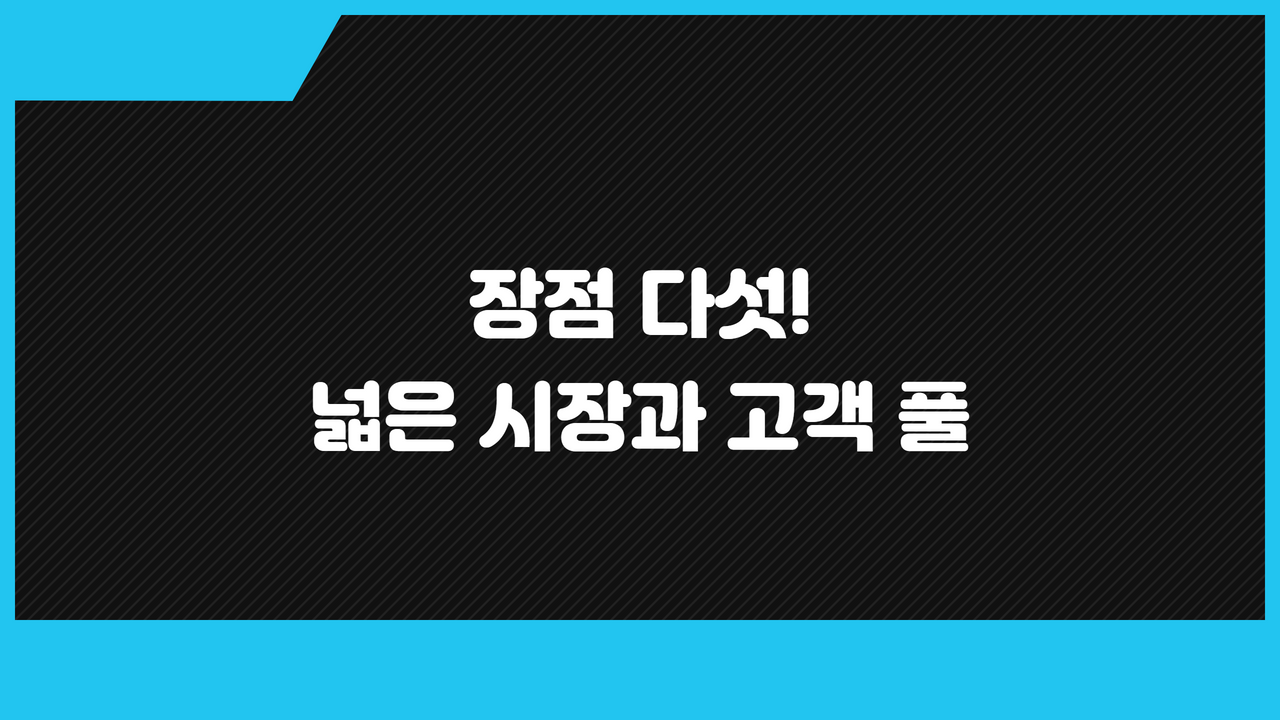 장점 다섯! 넓은 시장과 고객 풀